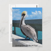 Pelikan in der Postkarte der Florida Keys (Vorne/Hinten)