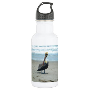 Pelikan in Florida Trinkflasche
