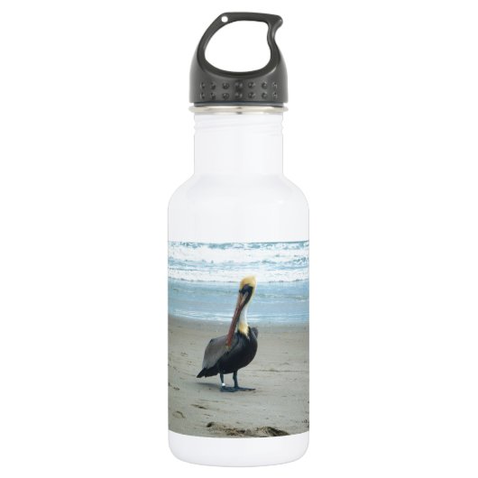 Pelikan in Florida Trinkflasche (Vorderseite)