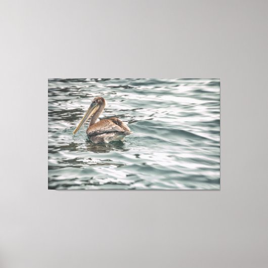 Pelikan in Wasser Leinwanddruck (Vorderseite)