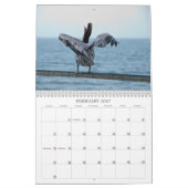 Pelikan-Kalender Kalender (Feb 2027)