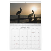 Pelikan-Kalender Kalender (Jan 2027)