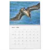 Pelikan-Kalender Kalender (Mär 2026)