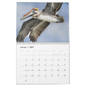 Pelikan-Kalender Kalender (Jan 2027)