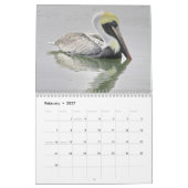 Pelikan-Kalender Kalender (Feb 2027)