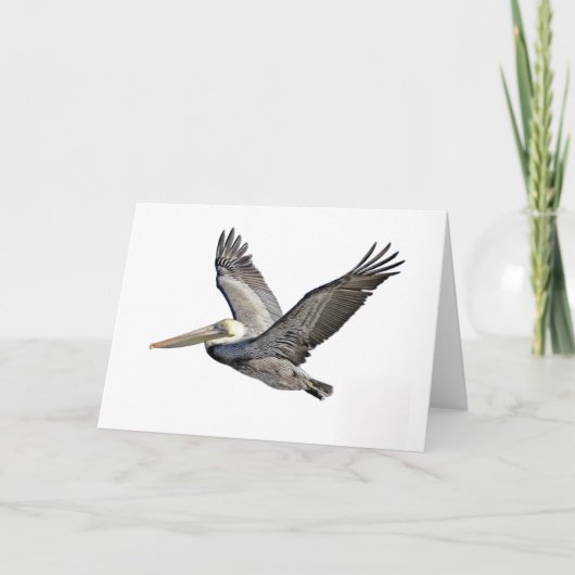 Pelikan klar karte (Vorderseite)