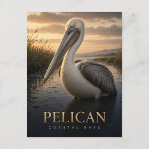 Pelikan-Küstenvögel-Wildlife-TIER Postkarte