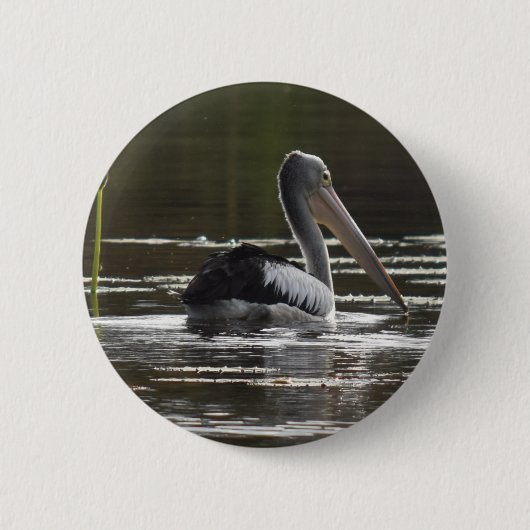 PELIKAN LÄNDLICHES QUEENSLAND AUSTRALIEN BUTTON (Vorderseite)