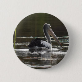 PELIKAN LÄNDLICHES QUEENSLAND AUSTRALIEN BUTTON