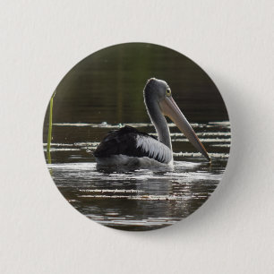 PELIKAN LÄNDLICHES QUEENSLAND AUSTRALIEN BUTTON