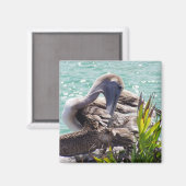 Pelikan Magnet (Vorderseite/Rückseite)