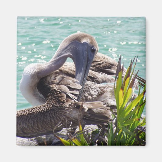 Pelikan Magnet (Vorne)