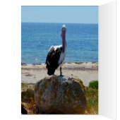 Pelikan mit dem Blick, Geburtstagskarte (Innen (Links))