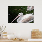 Pelikan Poster (Küche)