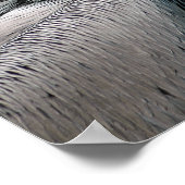 Pelikan Poster (Ecke)