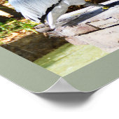 Pelikan Poster (Ecke)