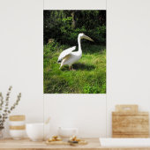 Pelikan Poster (Küche)