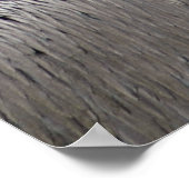 Pelikan Poster (Ecke)