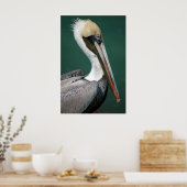 Pelikan Poster (Küche)