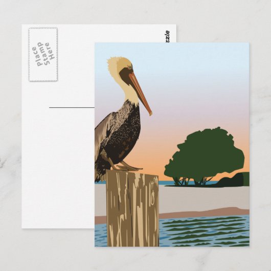 Pelikan Postkarte (Vorne/Hinten)