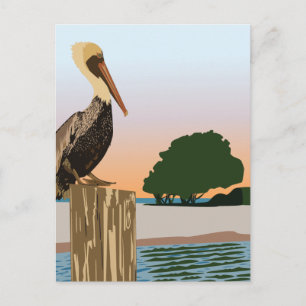 Pelikan Postkarte