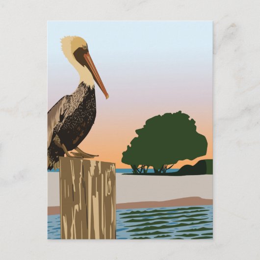 Pelikan Postkarte (Vorderseite)