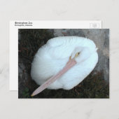 Pelikan Postkarte (Vorne/Hinten)