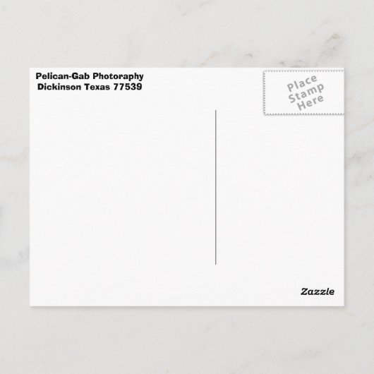 Pelikan Postkarte (Rückseite)