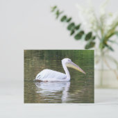 Pelikan Postkarte (Stehend Vorderseite)