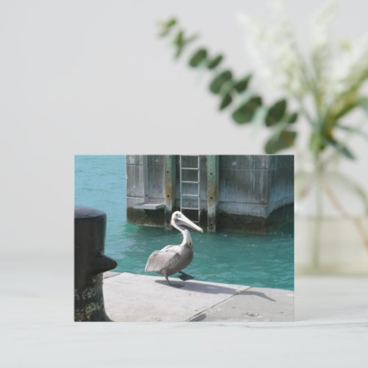 Pelikan Postkarte (Stehend Vorderseite)