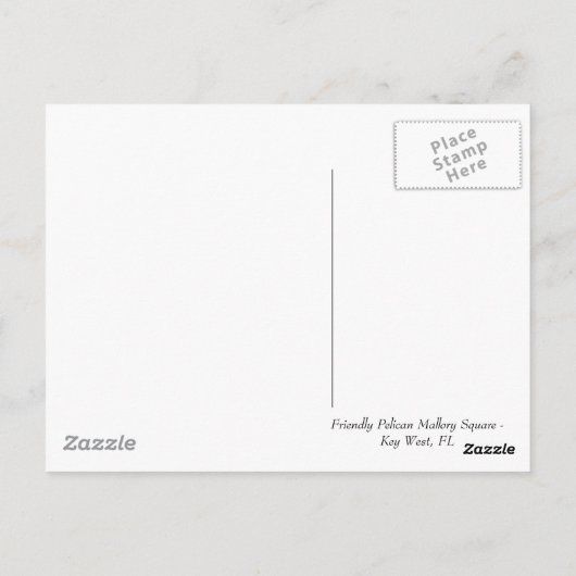 Pelikan Postkarte (Rückseite)