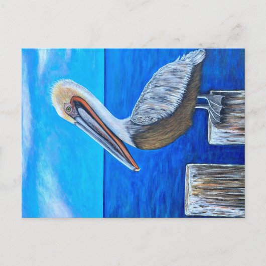 Pelikan Postkarte (Vorderseite)