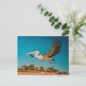 Pelikan Postkarte (Stehend Vorderseite)