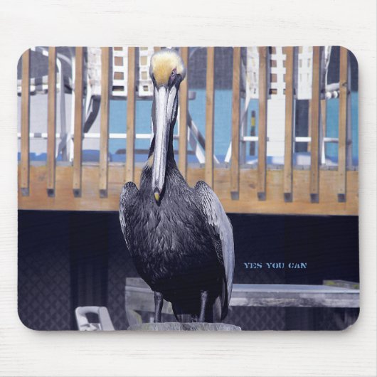 Pelikan-Power Mousepad (Vorne)