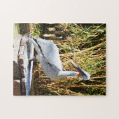 Pelikan Puzzle (Horizontal)