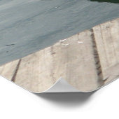 Pelikan Schwimmen im Wasser Poster (Ecke)