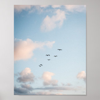 Pelikan-Sonnenuntergang-Druckposter Papier (Halbgl Poster