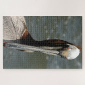 Pelikan starrt mir wieder auf die Karte Puzzle (Horizontal)