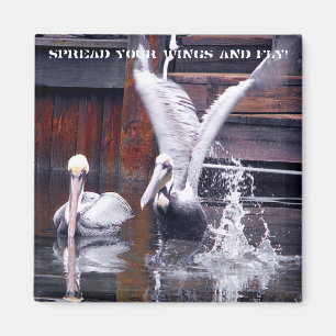 Pelikan-Start Magnet