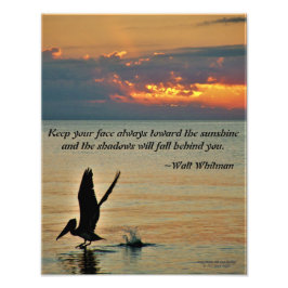 Pelikan starten bei Sonnenuntergang Golf Coast Flo Fotodruck