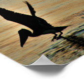 Pelikan starten bei Sonnenuntergang Golf Coast Flo Poster (Ecke)