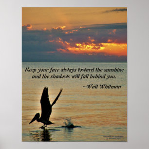 Pelikan starten bei Sonnenuntergang Golf Coast Flo Poster