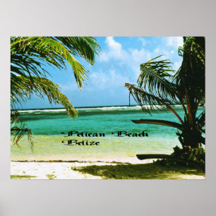 Pelikan-Strand Belize Poster