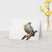 Pelikan, Tansania Karte (Gelbe Blume)