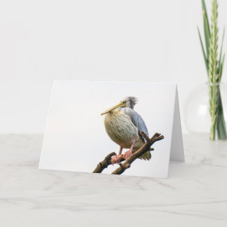 Pelikan, Tansania Karte