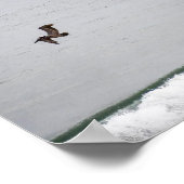 Pelikan über der Welle Poster (Ecke)