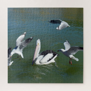 Pelikan und die ungebetenen Gäste, Puzzle
