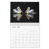 Pelikan-und Pfau-Kalender Kalender (Jan 2027)