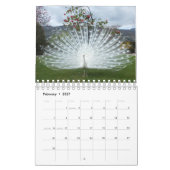 Pelikan-und Pfau-Kalender Kalender (Feb 2027)