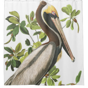 Pelikan-Vogel Audubon Tier-Duschvorhang Duschvorhang